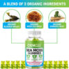 Organic Sea Moss Bladderwrack Gummies