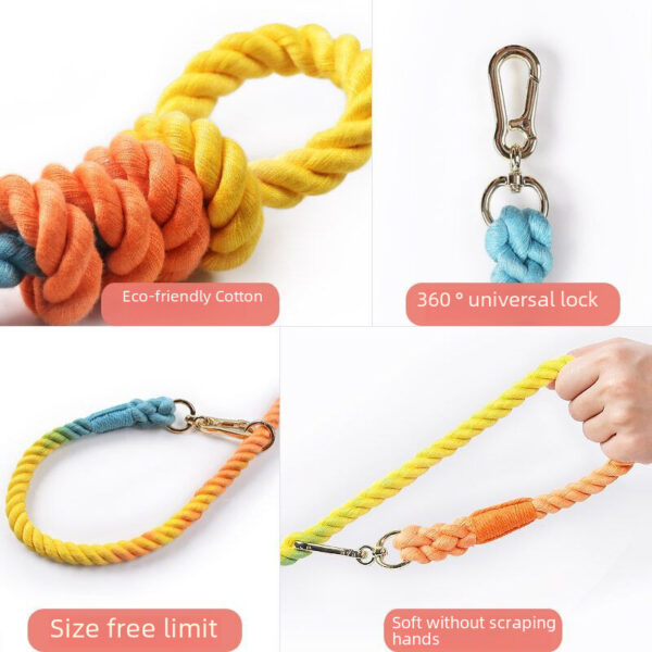 O1CN01FoGsGa1Bs2yLe8pEk_0-0-cib.jpg Rainbow Woven Double Dog Leash
