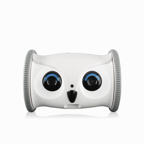 Interactive Owl Pet Toy with Snack Dispenser